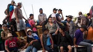 Image result for migrant