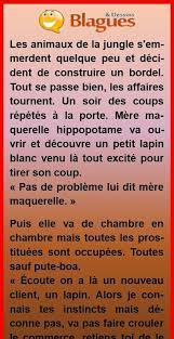 Le Bordel De La Jungle Humour Gore Blagues Sur Les Animaux Blague