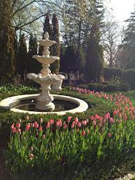 Tulips Haddonstone Fountain English Garden Design Www Sarahscottagecreations Com Cottage Garden Garden Landscaping Romantic Room