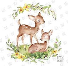 Watercolour Png Baby Deer Sleeping Baby Deer Flower Wreath Baby Deer Deer Print Art Deer Deer Illustration Siblings Cute Little Fawn In 2021 Baby Deer Art Deer Illustration Deer Sketch