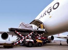 Brilliant Door To Door Air Cargo Service In Fastest Shipping Process At Cargo To India Http Www Cargotoindia Co Uk Air Cargo Ocean Freight Cargo Shipping