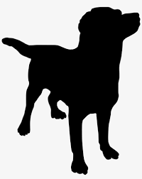 Feel free to send us your own wallpaper and we will consider adding it to appropriate category. Clipart Dog Silhouette Clipart Best Clipart Best Dog Silhouette Transparent Background Transparent Png 662x800 Free Download On Nicepng