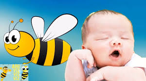 Alisa chudesnaya1 views3 year ago. Ari Viz Viz Viz Sarkisi Cocuk Sarkilari Kids Songs And Nursery Rhymes Ari Viz Viz Sarkisi Youtube