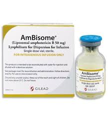 Image result for Amphotericin B