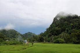 Maybe you would like to learn more about one of these? Pesona Bukit Bulan Melongok Perut Bumi Di Jambi