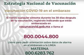 El sábado 20 de febrero llegaron al país 200 mil vacunas de la empresa. La Jornada Abren Registro Para Vacunacion A Embarazadas