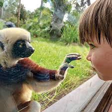 The Future Of Zoos