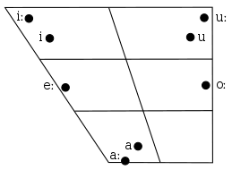 Hejazi Arabic Phonology Revolvy