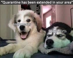There Are Two Types Of People In The World Dogs In Quarantine Memes