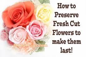How to use sugar and vinegar to preserve cut flowers steps in preparing this powerful mixture. How To Preserve Your Fresh Cut Flowers