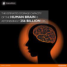 The Human Brain Has An Estimated Storage Capacity Of 256 Exabytes Or 256 Billion Gigs The Equivalent Of 1 2 Billion Average Human Brain Science Facts Human