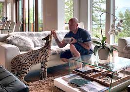 It requires a large, outdoor enclosure and an exotics vet. Aquila The Serval Cat Safely Home In Fernie Peace Arch News