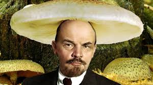 Les origines intellectuelles du léninisme. The Secret Of The October Revolution Revealed Lenin Was A Mushroom