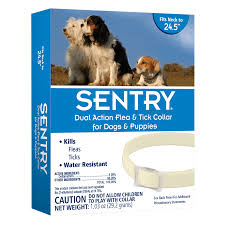 How efficient is adams flea and tick collar? Sentry Dual Action Flea Tick Collar For Dogs Petco