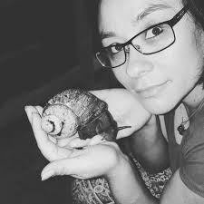 Караколус полосатый, караколус маргинеллус младший синоним: Habe Schnecken Liebe Meine Achatschnecken Und Andere Facebook