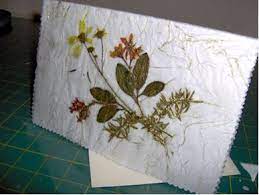 How do you press flowers without a flower press? Antique Any Occasion Pressed Flower Card Favecrafts Com