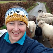Hi! Has anyone crossed Shetland ewes with Blue Texel rams? If so, what ram  would you recommend to use