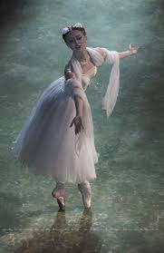 Phyllis Nagle (nagle0416)