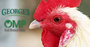 George's Inc. has deal in place to buy Ozark Mountain Poultry