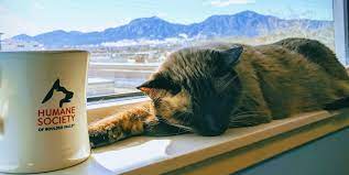 @communityfoodshareco donates food for 30,000 meals/day! Humane Society Of Boulder Valley Creating Healthy Relationships Between Pets And People