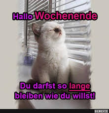 Hallo Wochenende Lustige Bilder Sprüche Witze Echt Lustig