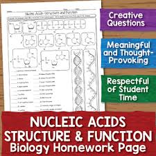 The nucleic acids the nucleic acids are the building blocks of living organisms. Nucleic Acids Worksheet Answer Key Nidecmege
