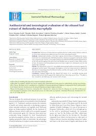 Image result for Anthonotha macrophylla