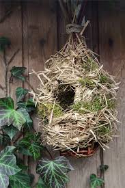 So Bauen Sie Eine Nisthohle Fur Den Zaunkonig Nistkasten Selber Bauen Vogel Im Garten Vogelhaus