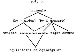 Symmetry And Polygons