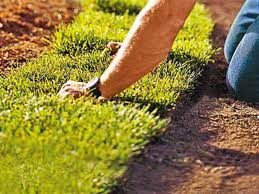 Here, i have created a list of tips and technique for learning how to get a green lawn this spring aerate in the spring for a green lawn. 9 Steps To A Lush Lawn This Old House