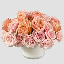 Maybe you would like to learn more about one of these? Lots Of Roses San Diego Flower Co Local Flower Delivery San Diego Ca 92067