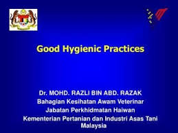 Good Hygiene Practices Ghp Good Manufacturing Practices Gmp In Slaughterhouse Good Manufacturing Practice Hygiene Practices Hygiene