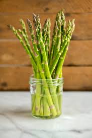 Image result for Asparagus psilurus