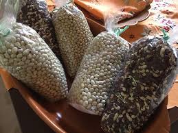 Corbella a Cicerale, il mondo libero di Giovanna Voria: più natura meno  psichiatri! - Luciano Pignataro Wine Blog
