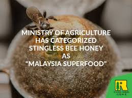 Langkawi black bee farm specializes. Rh Bee Farms Madu Kelulut Stingless Bee Honey Will Facebook