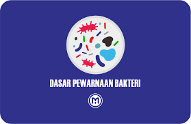 Kumpulan inspirasi mewarnai gambar pemandangan ini bisa menjadi contoh aktivitas menggambar ataupun mewarnai. 4 Teknik Dasar Pewarnaan Sel Bakteri Beserta Penjelasannya Microbeholic