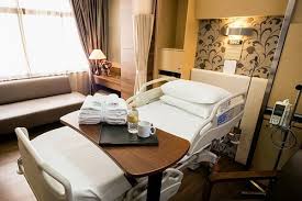 Kepentingan seni dan budaya kita; Mount Elizabeth Hospital Singapura Profil List Dokter Biaya Berobat