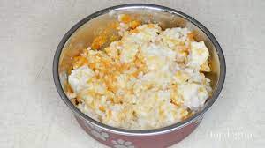 Is your dog lacking an appetite? Chicken And Rice Dog Food For Upset Stomach Easy Homemade Recipe