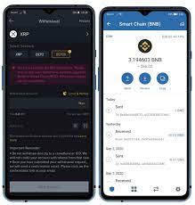 What is binace chain extension wallet? How To Set Up And Use Trust Wallet For Binance Smart Chain Binance Blog
