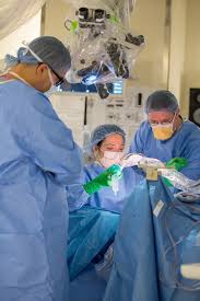 We did not find results for: Medical Student Subinternship Neurosurgery