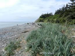 Fort ebey state park also contains some great camping amenities. Fort Ebey State Park Whidbey Island Pacific Northwest Trail Coupeville Wa Mapio Net