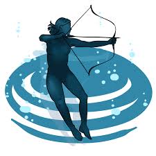 The more questions you get correct here, the more random knowledge you have is your brain big enough to g. What Do High Level Athletes Know About Floating That You Don T Float Seattle