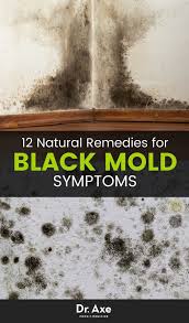 8 Signs You Need A Black Mold Detox Black Mold Symptoms Mold Exposure Black Mold Exposure