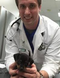 North Elm Animal Hospital