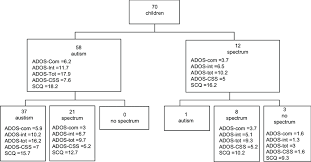 changes on autism diagnostic observation schedule