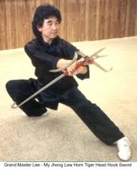 Grand Master Johnny Kwong Ming Lee