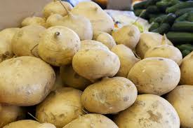 Discussion from the chowhound general discussion food community. Growing Your Own Organic Jicama