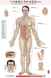 Chinese Medical Acupuncture Points Charts Buy Medical Wall Chart Acupuncture Points Charts Medical Acupuncture Chart Product On Alibaba Com