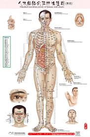 chinese medical acupuncture points charts buy medical wall chart acupuncture points charts medical acupuncture chart product on alibaba com