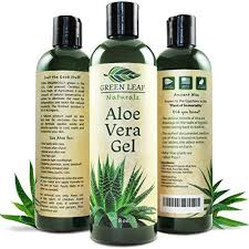 Aloe vera plants make great indoor or outdoor plants; Green Leaf Naturals Organic Aloe Vera Gel Pure Daily Moisturizer For Skin Face And Organic Aloe Vera Gel Natural Skin Care Moisturizer Natural Aloe Vera Gel